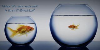 Ihr IT-Profi Ihr IT-Profi
